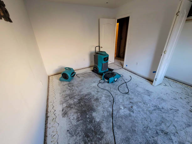 Best Professional water damage repair  in Snyder, OK
