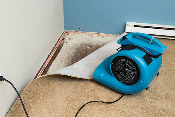Best Fire Damage Restoration  in Snyder, OK